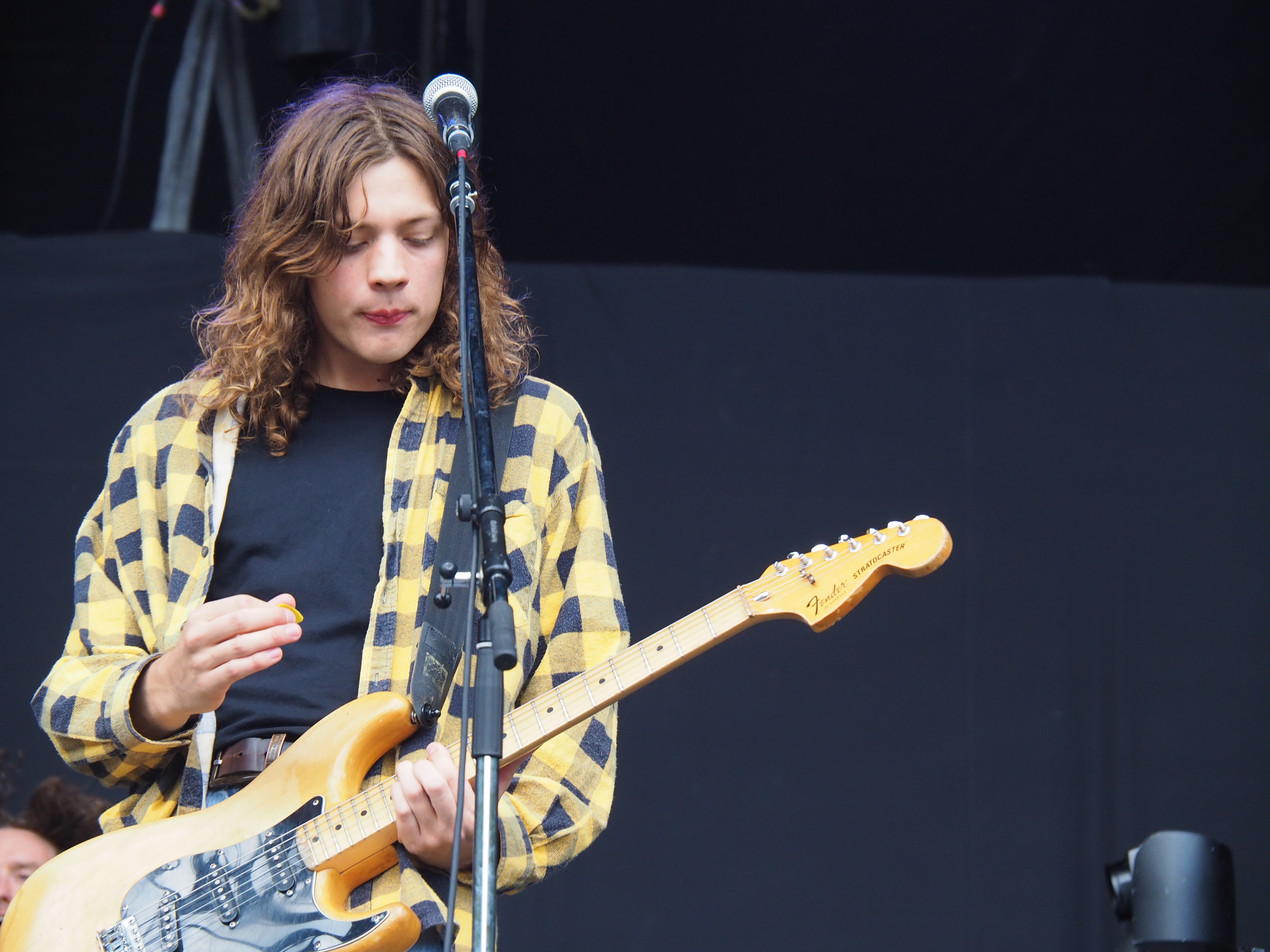 Vant