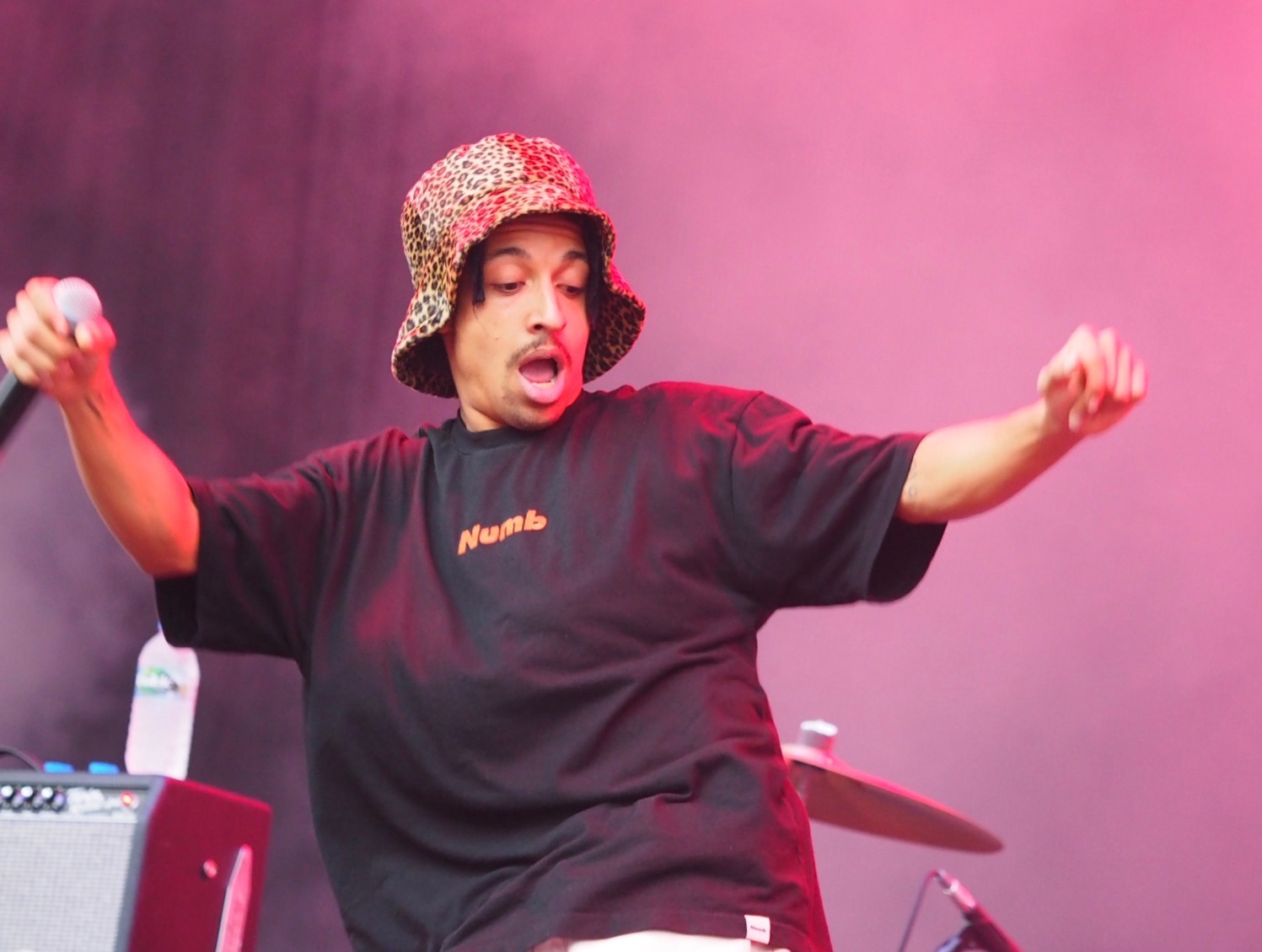 THE AVALANCHES