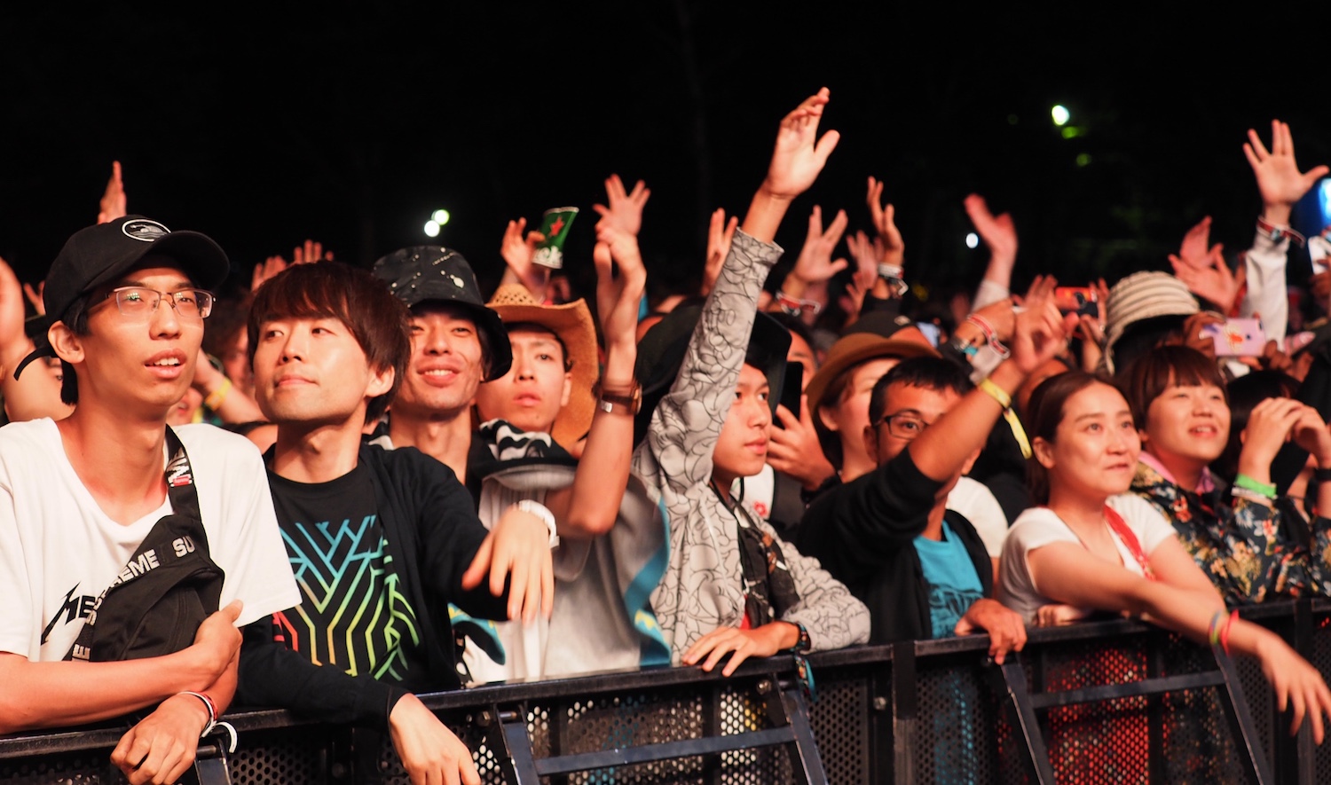Fuji Rock crowd